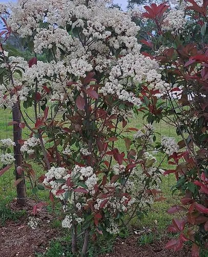 Epta Karpi Complex Of 7 Luxury